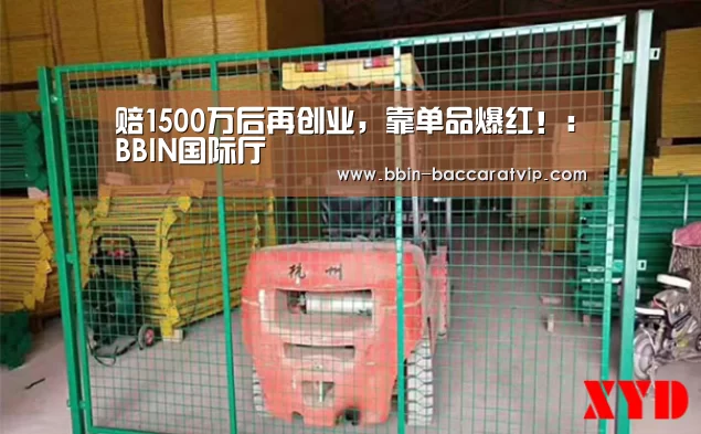 赔1500万后再创业，靠单品爆红！：BBIN国际厅