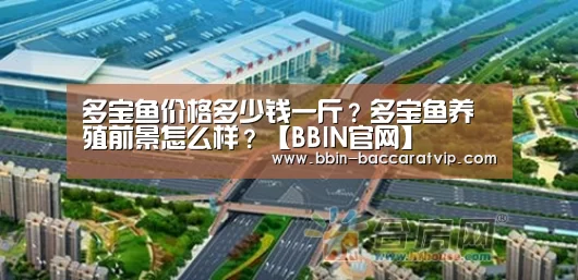 BBIN官网