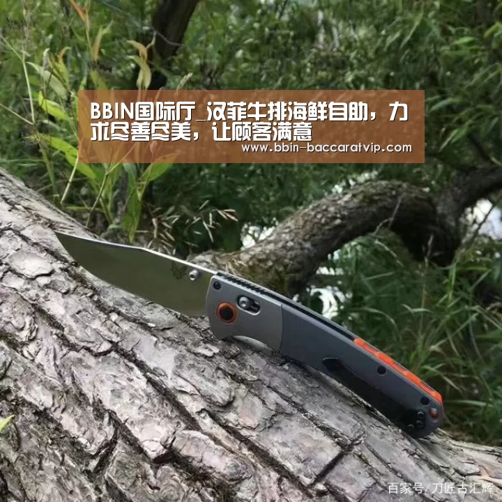 BBIN入口