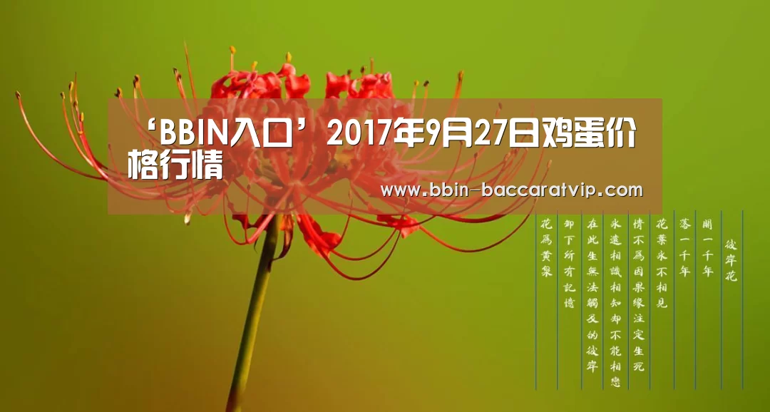 BBIN入口